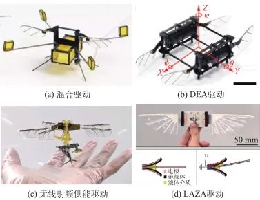 微纳扑翼飞行器前沿动态综述与启示建议 （上）